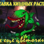 Изготовление рекламных макетов. Рекламные картинки. Дизайн макетов. Фотопривязка
